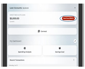 Loans will display on the dashboard and it will show if the loan is past due.  Tap on a loan to view history and additional details.