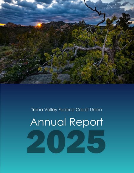 Annual Report 2025