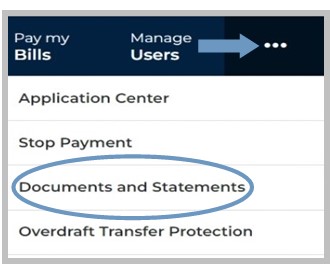 Click on the 3 dots in the top right hand corner and select Documents and Statements.