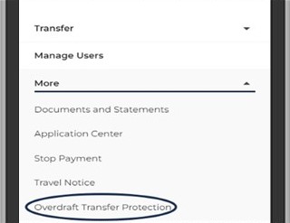 Tap on More, and then scroll down and tap Overdraft Transfer Protection.