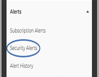 Tap Security Alerts to enable text, email, or push alerts if there is suspicious activity on your account. 