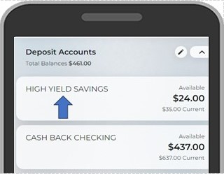 Tap on the Share or Loan to see account information. 