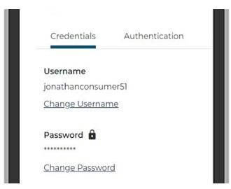 Select Change Username or Change Password.  